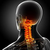 Self-paced Online  Home Study 12 CE Active Assisted FULL BODY Stretching (AAS)