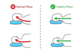 Self-paced Online Home Study 6 CE Neuromuscular Therapy Basics