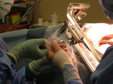 LIVE IN-PERSON 24 CE Hour Advanced Geriatric Oncology Bodywork & Massage