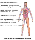 24 CE Advanced Geriatric Oncology Bodywork & Massage (Computer-Based Live Interactive Webinar)