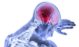 Self-paced Online Home Study 6 CE Trigger Point Therapy