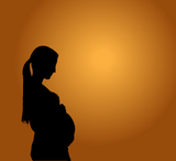 2025 DELINQUENT FL MT LICENSEES ONLY for 2025 Renewal: Self-paced Online Home Study 3 CE Body Cushion Prenatal Massage Practice Session