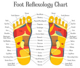 LIVE-IN PERSON 12 CE Hour Foot Reflexology Basics with Advanced Medical Foot Massage in CENTRAL FLORIDA