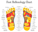 LIVE IN-PERSON 12 CE Hour Reflexology: Foot, Hand & Ear in CENTRAL FLORIDA