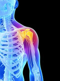 Self-paced Online Home Study 6 CE Active Assisted UPPER Body Stretching (AAS)