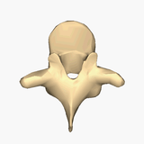 Self-paced Online Homestudy 24 CE Advanced Medical Massage