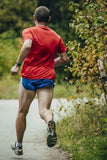 Self-paced Online Home Study 12 CE Sports & Neuromuscular Therapy Basics