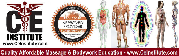 CE Institute LLC