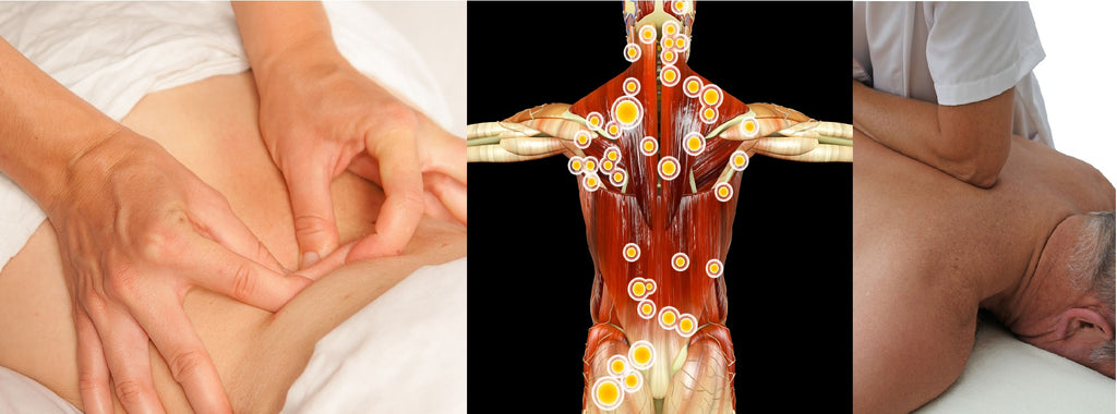Referred Pain Information for Massage Therapists - by Instructor Ben Benjamin