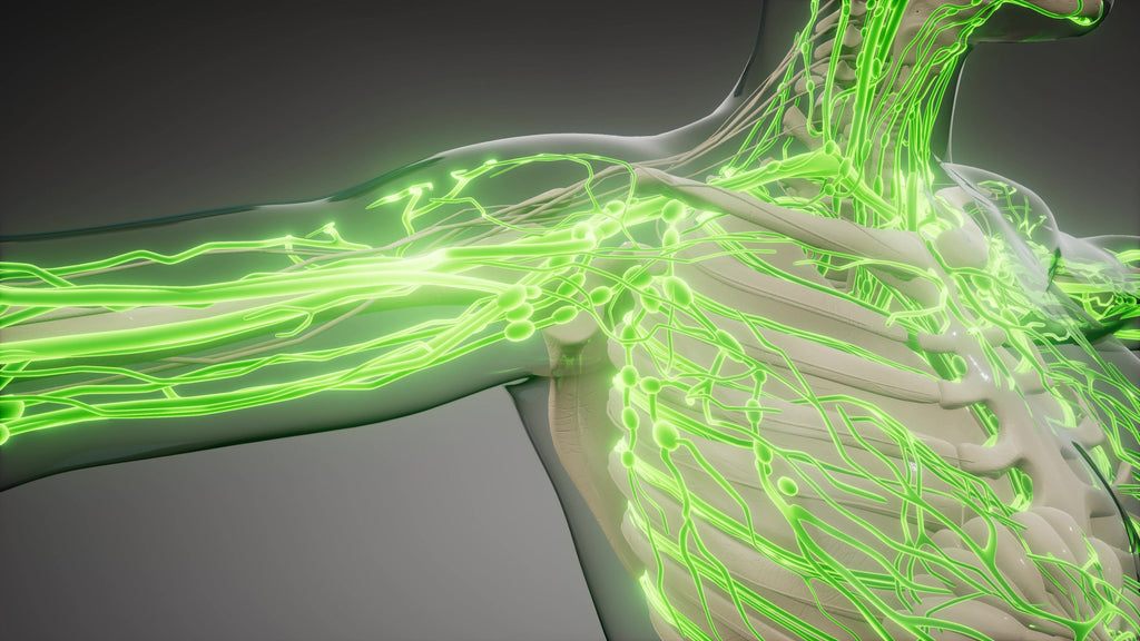 Professional Evaluation of a 50-minute Manual Lymphatic Drainage Session aka MLD in an Upscale Spa Establishment