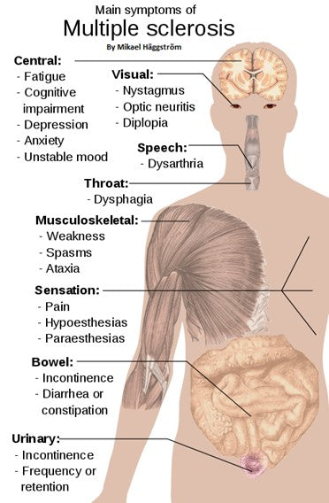 A Brief 101 About Multiple Sclerosis (MS) for Massage Therapists and Bodyworkers