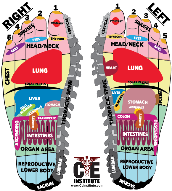 The Solar Plexus Hold in Foot Reflexology Practice