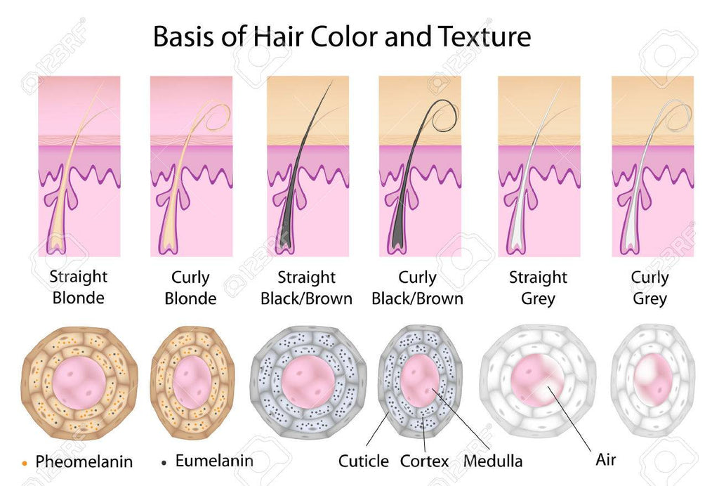 Natural Hair Color & Pigmentation