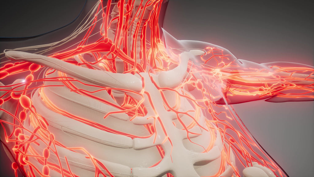 Manual Lymphatic Drainage Practice Opens and Increases Lymphatic Pathways