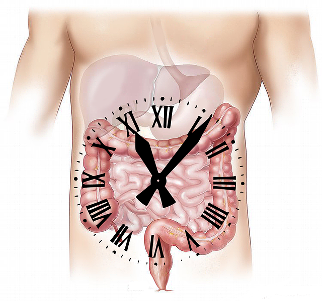 Do you work in clockwise or counterclockwise in professional abdominal, tummy or belly massage?