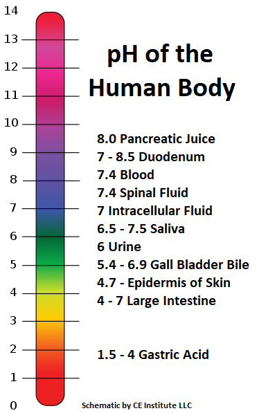 The pH of Skin for Massage Therapists, Salon & Spa Service Providers