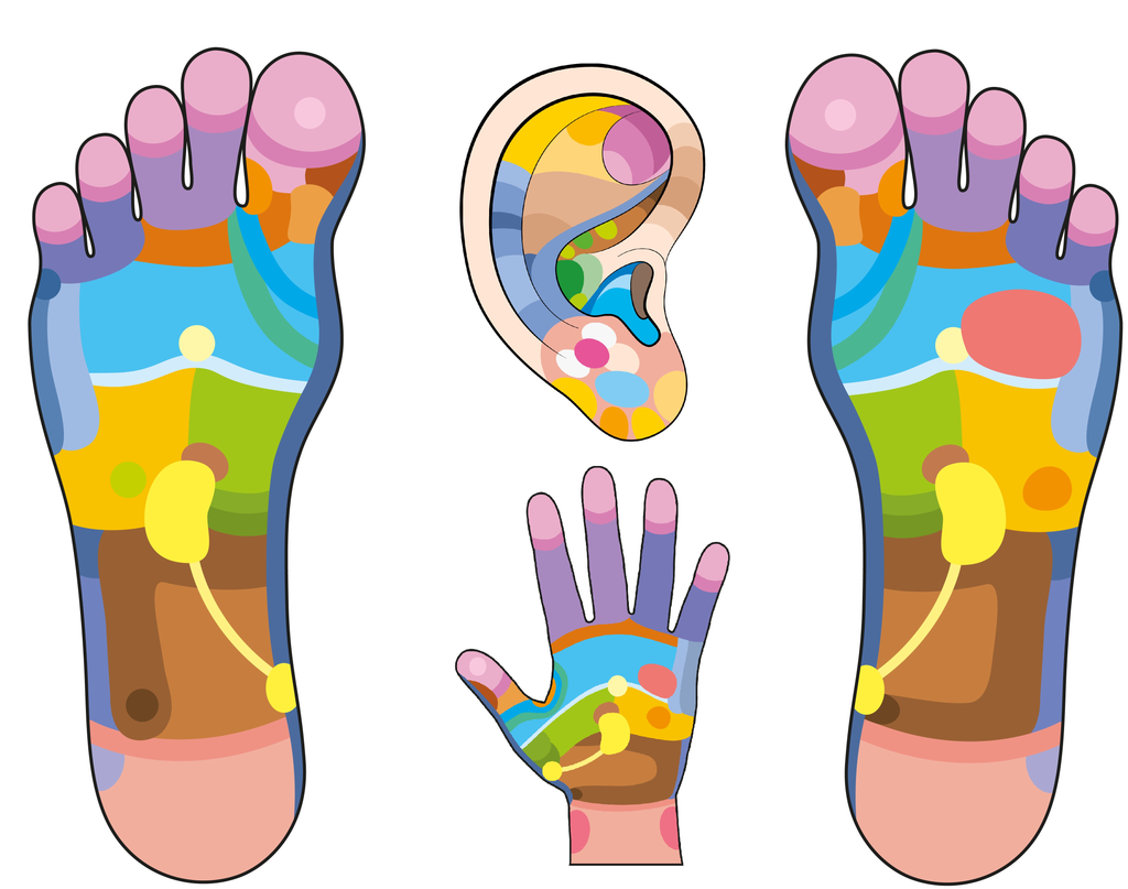 Foot Reflexology Chart Points Depictions Reviewed by Massage Therapy Foot Reflexology Chart Points Depictions Reviewed by Massage Therapy