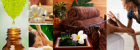 LIVE IN-PERSON 12 CE Hour Lomi Lomi Massage Basics with Alohatherapy™