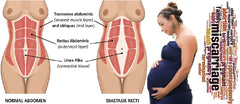 Self-paced Online Home Study 3 CE Pregnancy Terms and Massage Contraindications