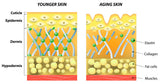 Self-paced Online Homestudy 1 CE Geriatric Skin Moisturizing Massage & Joint Mobilization