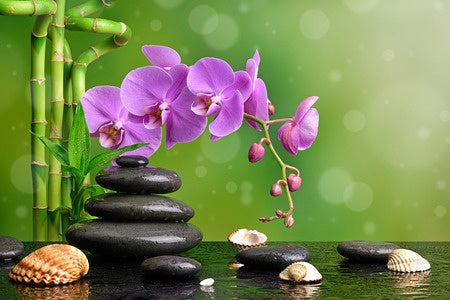 24 CE FL LMT Renewal Home Study Package: Hot Stone Massage Workshop wi ...