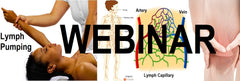 12 CE Hour Manual Lymphatic Drainage Extremities Basics (Computer-based Live Interactive Webinar)