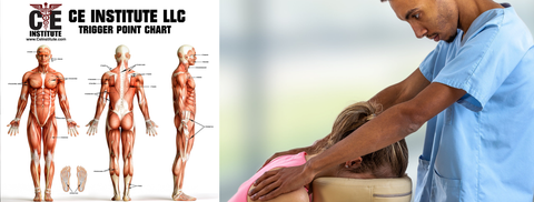 Self-paced Home Study 12 CE Chair Event Massage with Trigger Point Therapy