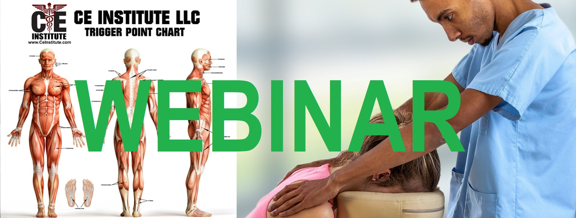 12 CE Trigger Point Therapy & Chair Massage (Computer-Based Live Interactive Webinar)