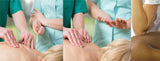 24 CE FL LMT Renewal Home Study Package Orthopedic Cupping with Sanitation Training Elective