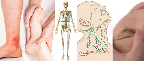 12 CE Hour Lymphatic Drainage Basics & Lymphatic Facial