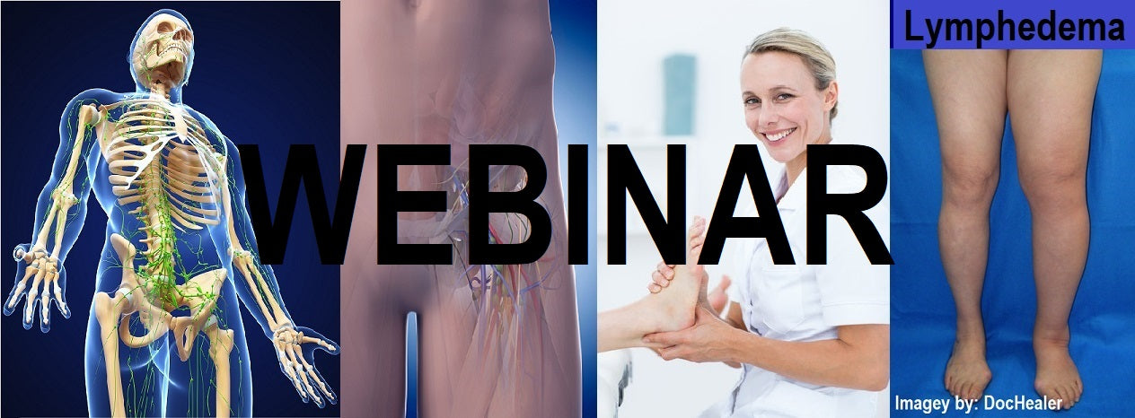 1-Day 6 CE Hour Full Body Lymphatic Drainage Live Interactive Online Add-on
