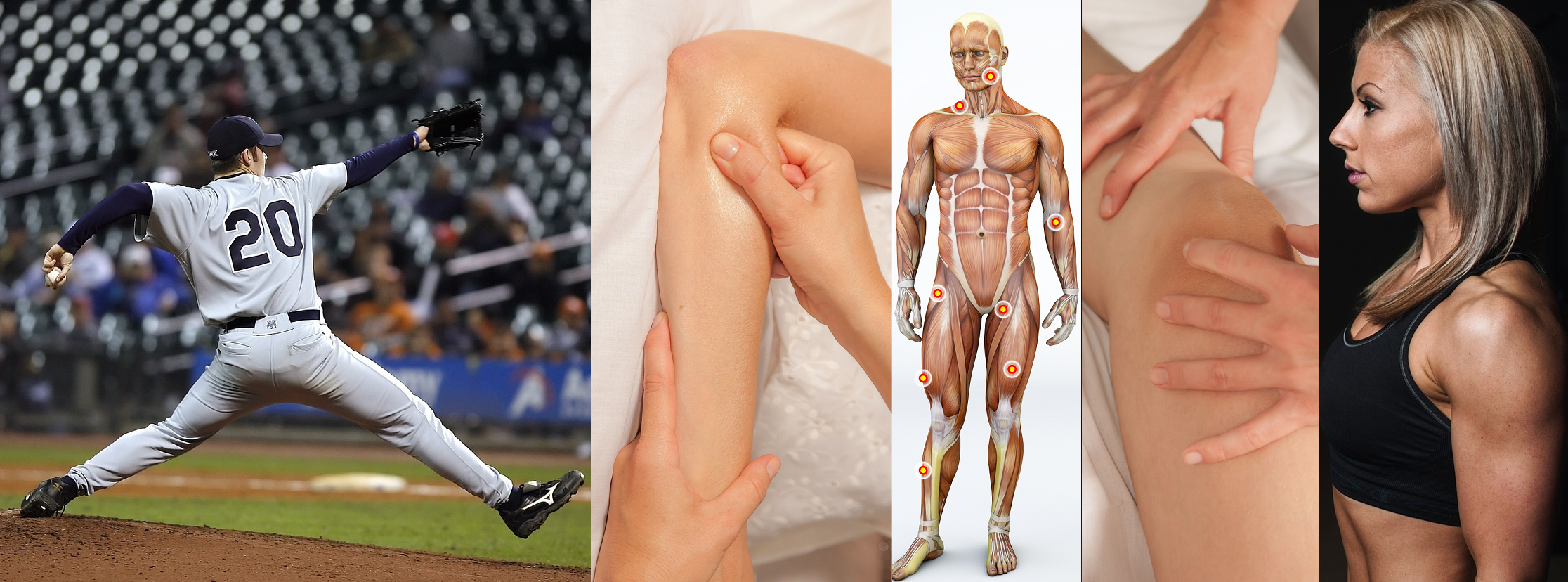 Self-paced Home Study 12 CE Sports Massage & Trigger Point Therapy
