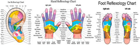 Self-paced Online Home Study 12 CE Hour Reflexology: Foot, Hand & Ear