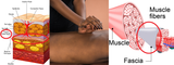 LIVE IN-PERSON 12 CE Hour Sports Massage & Myofascial Release