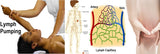 LIVE IN-PERSON 12 CE Hour Manual Lymphatic Drainage Extremities Basics