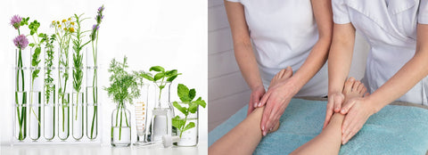 Self-paced Online Home Study 6 CE Aromatherapy Bodywork Basics