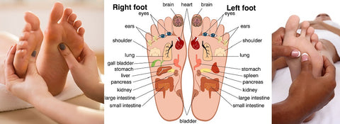 LIVE IN-PERSON 6 CE Hour Foot Reflexology Basics in CENTRAL FLORIDA