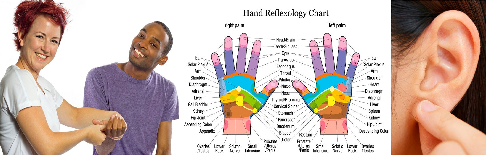 Self-paced Online Home Study 6 CE Hour Hand & Ear Reflexology