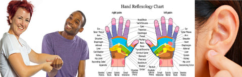 Self-paced Online Home Study 6 CE Hand & Ear Reflexology
