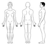 12 CE Hour Trigger Point & Neuromuscular Therapy Basics (Computer-Based Live Interactive Webinar)
