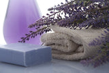 LIVE IN-PERSON 24 CE Hour Advanced Lava Lomi Lomi with Alohatherapy