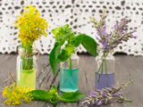 Self-paced Online Home Study 12 CE Master Therapist Tools & Microtreatments