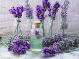 LIVE IN-PERSON 6 CE Hour Aromatherapy Bodywork Basics