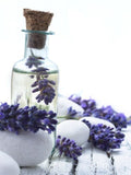 Self-paced Online Home Study 12 CE Master Therapist Tools & Microtreatments