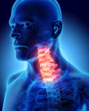 Self-paced Online Home Study 6 CE Advanced Myofascial Deep Tissue: Neck & Back