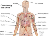 LIVE IN-PERSON 24 CE Advanced Oncology Bodywork with Manual Lymphatic Drainage