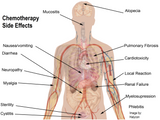 24 CE Advanced Oncology Bodywork with Manual Lymphatic Drainage (Computer-Based Live Interactive Webinar)