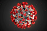 5 CE Germs, COVID-19 & Sanitation Info for a LMT