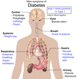 Self-paced Online Home Study 6 CE Prenatal Terms, Contraindications & Side Lying Massage
