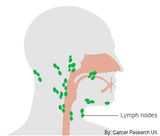 LIVE-IN PERSON 6 CE Hour Lymphatic Facial